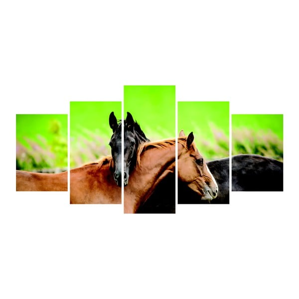 Viacdielny obraz La Maison Des Couleurs Horses