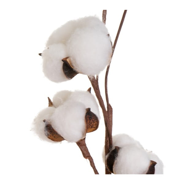 Sušená rastlina (výška 55 cm) Cotton – Casa Selección-image-1