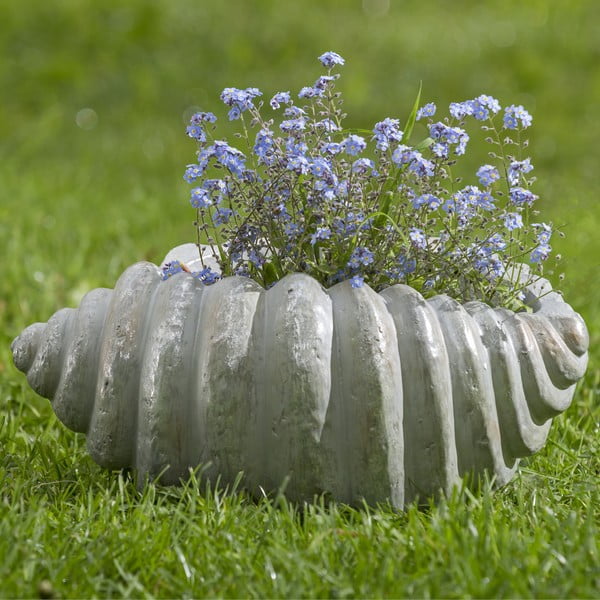 Záhradný kvetináč v tvare lastúry Boltze, dĺžka 35 cm