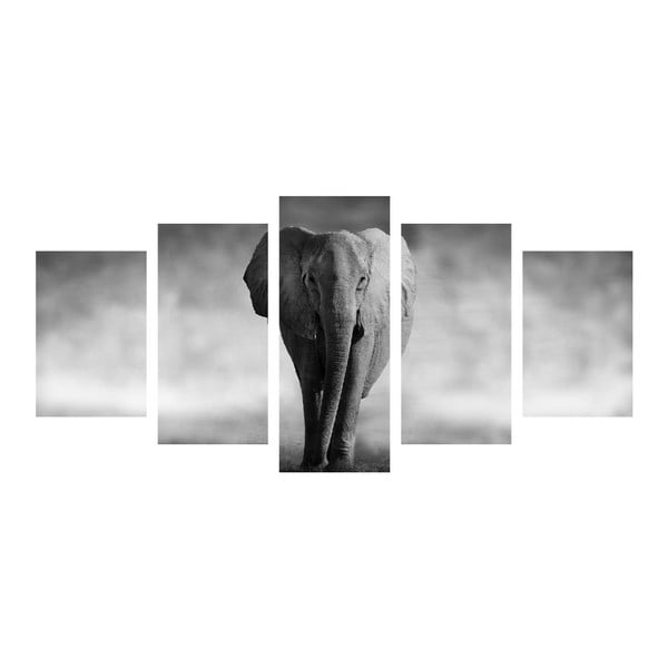 Viacdielny obraz Black&White Elephant