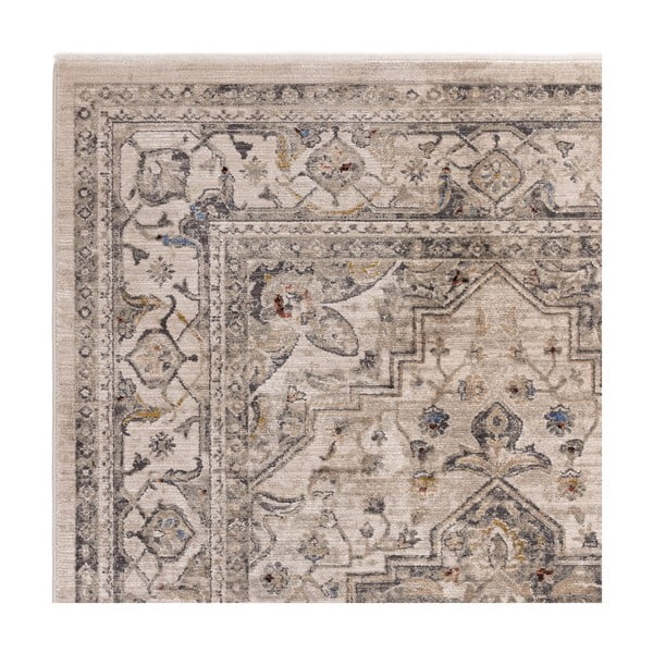 Béžový koberec 240x330 cm Sovereign – Asiatic Carpets-image-3