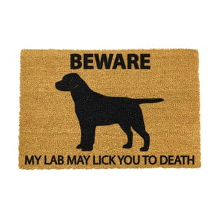 Rohožka z prírodného kokosového vlákna Artsy Doormats Labrador, 40 x 60 cm