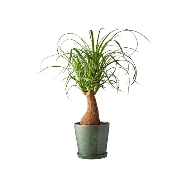 Kameninový obal na kvetináč ø 14 cm Gastro Green/Black – Bitz-image-1