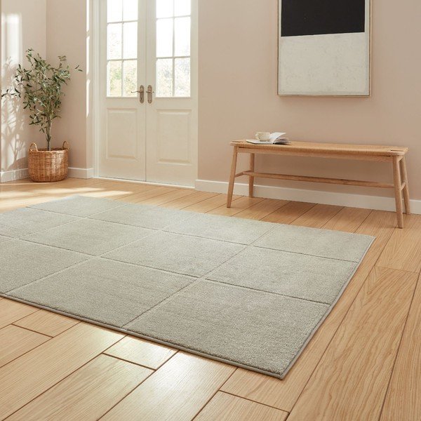 Svetlosivý koberec 120x170 cm Elio Silver – Think Rugs-image-2