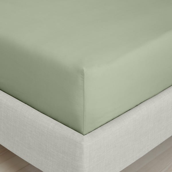 Zelená napínacia plachta z bavlneného perkálu 90x190 cm Cotton Percale – Bianca-image-3
