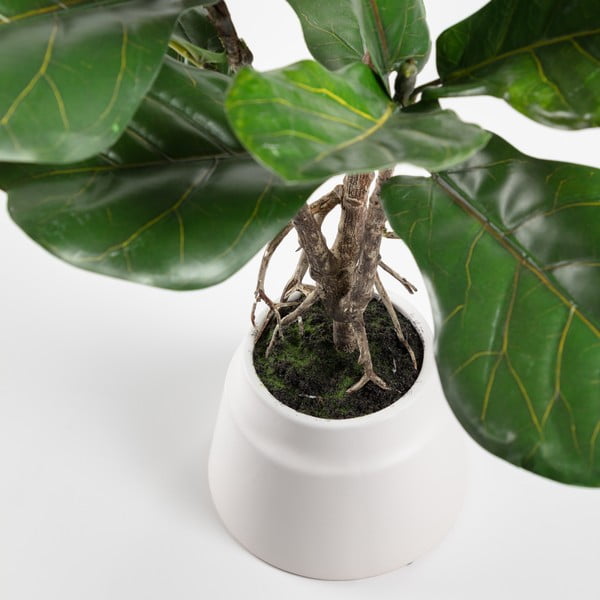 Umelý fikus (výška  60 cm) Lyrata – Kave Home-image-1