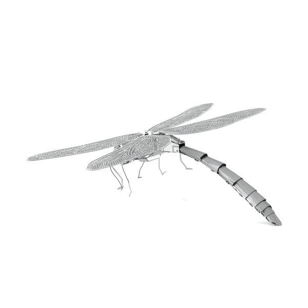 Model Dragonfly-image-4