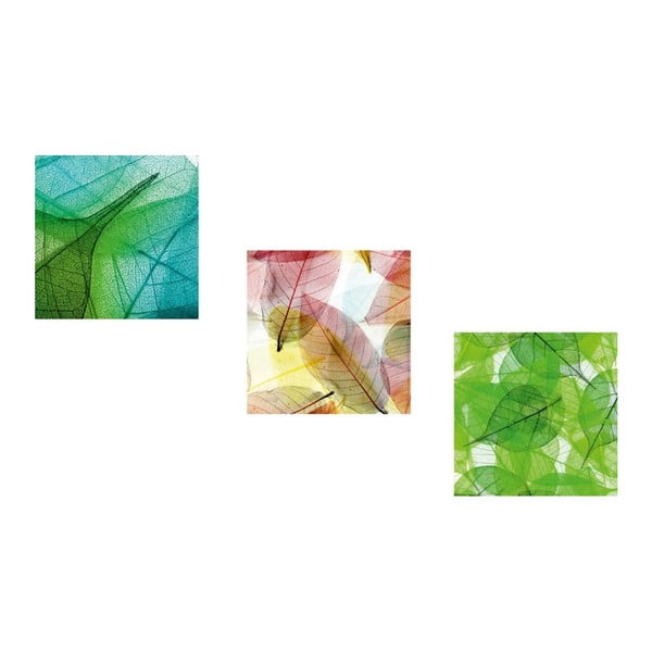 Sada 3 obrazov Wall Framework Tropical Leafes