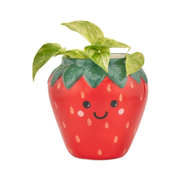 Keramický obal na kvetináč ø 10 cm Strawberry – Sass & Belle-image-1