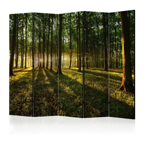 Paraván Artgeist Morning Forest, 225 × 172 cm