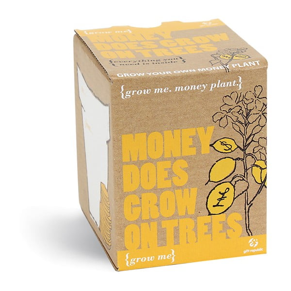 Pestovateľský set so semienkami potosovca zlatého Gift Republic Money Does Grow On Trees