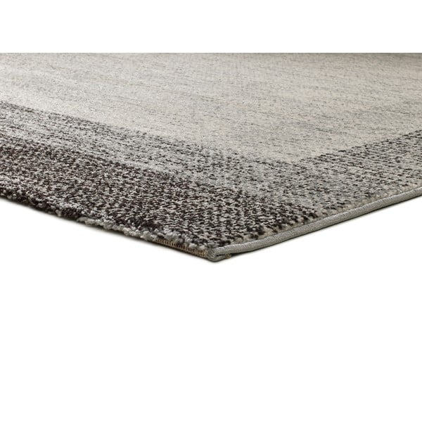 Sivý koberec 80x150 cm Delta – Universal-image-2