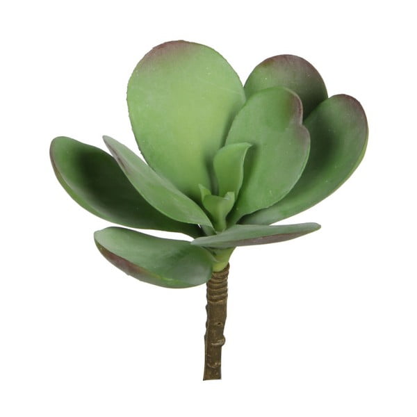 Umelá kvetina Ego Dekor Zelený sukulent s veľkým listom