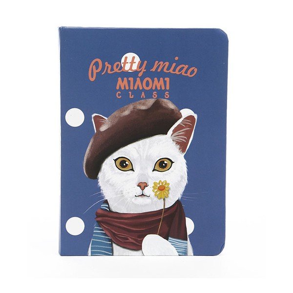 Zápisník Miomi, modrý