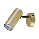 Kovové bodové svietidlo v zlatej farbe 8x16 cm Colly – Candellux Lighting