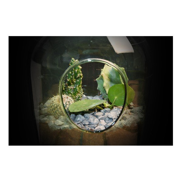 Aerárium Oteren Esschert Design, 3 l-image-1