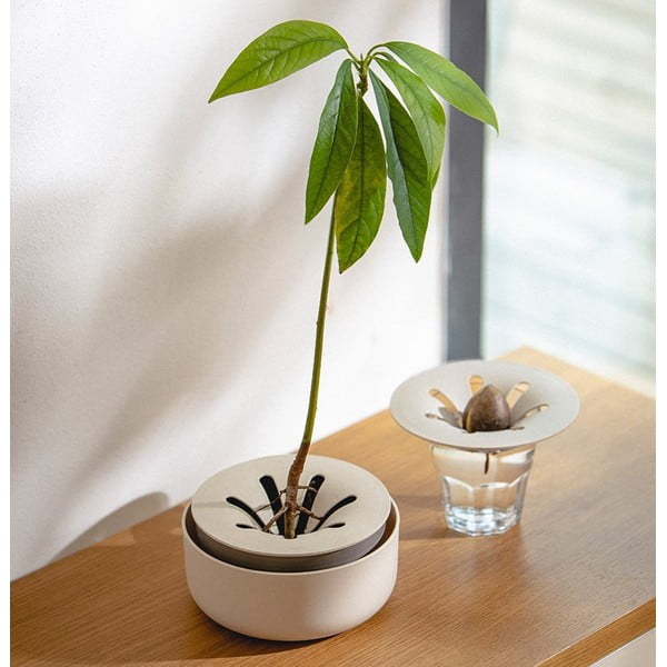 Klíčiaca miska, ø 16 cm Regrow - Plastia-image-1