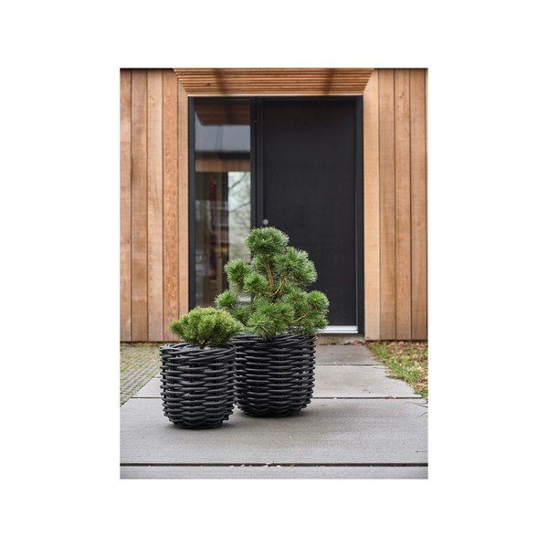 Ratanové kvetináče v súprave 2 ks ø 52 cm Vilda – Villa Collection-image-3