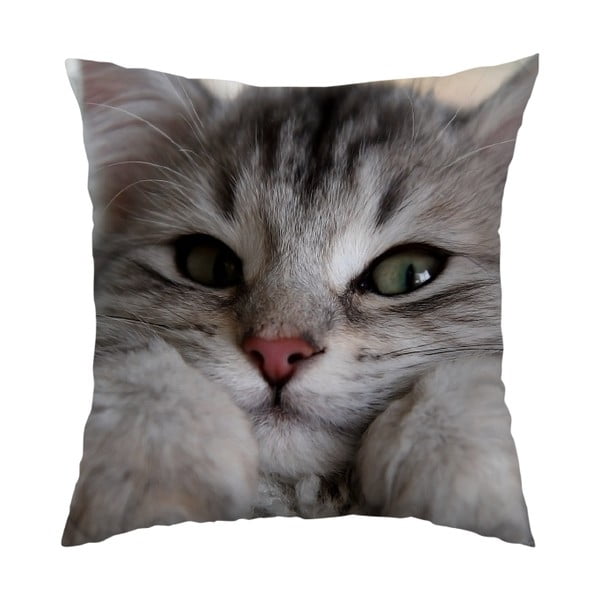 Vankúš Cute Cat, 40x40 cm