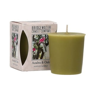 Votívna sviečka Bridgewater Candle Company Azalka a dub, doba horenia 15 hodín