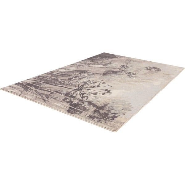 Krémovo-sivý vlnený koberec 160x240 cm Lissey – Agnella-image-4