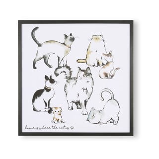 Nástenný plagát v ráme Art for the home Home Is Where The Cat Is, 50 x 50 cm