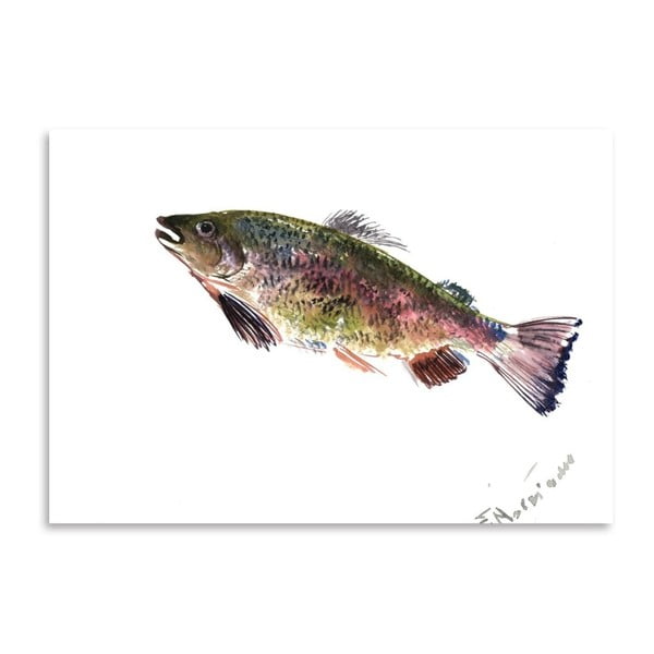Autorský plagát Rainbow Trout od Surena Nersisyana, 42 x 30 cm