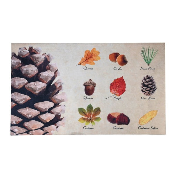 Rohožka s dizajnom listov a plodov Esschert Design, 45,4 × 75 cm