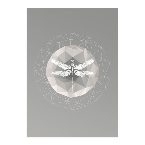 Plagát Dragonfly, A3-image-1