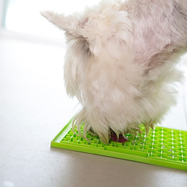 Lízacia podložka Buddy Green – LickiMat-image-3