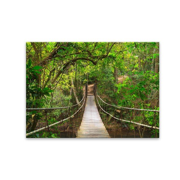Obraz Styler Glas Nature Forest Bridge, 80 × 120 cm