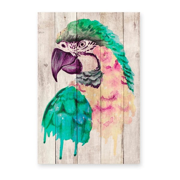 Nástenná dekorácia z borovicového dreva Madre Selva Watercolor Parrot, 60 × 40 cm