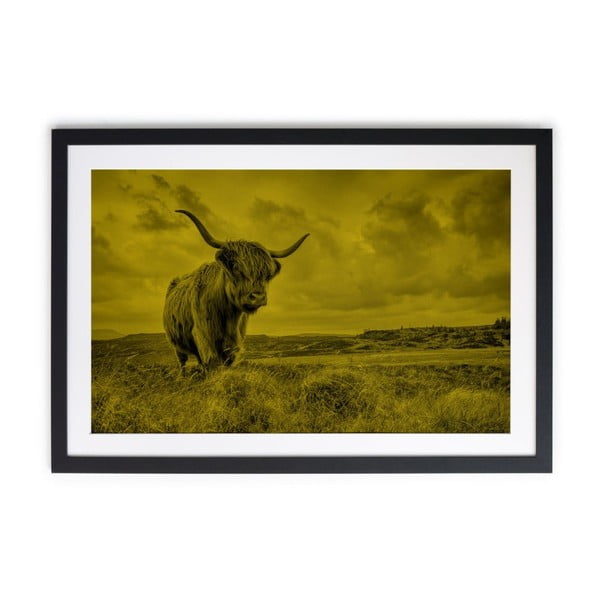 Obraz Really Nice Things Buffalo, 40 × 60 cm