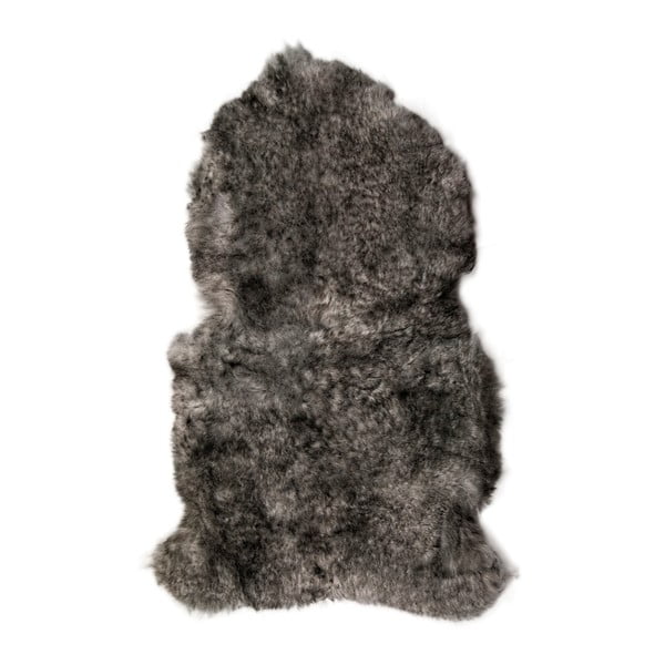 Sivá ovčia kožušina s krátkym vlasom Arctic Fur Lina, 90 × 60 cm