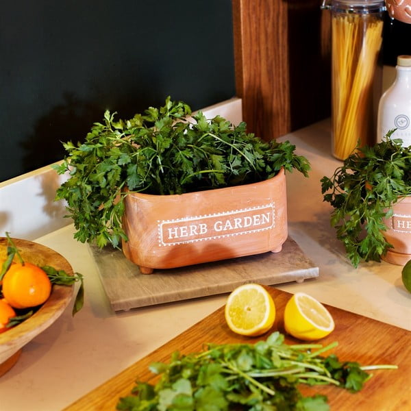 Terakotový kvetináč s Sass & Belle Herbs, dĺžka 23 cm-image-1
