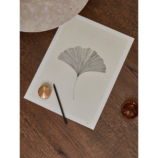 Plagát 50x70 cm Ginkgo Leaf – Ana Frois – The Poster Club-image-2