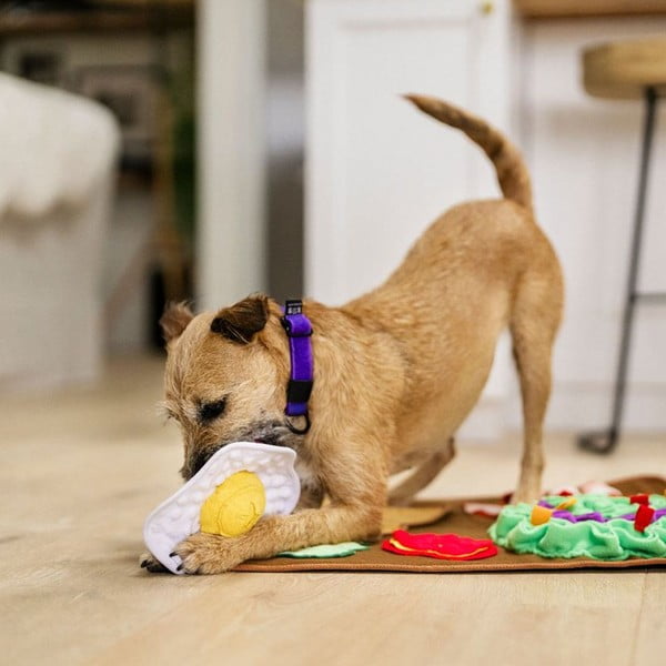 Čuchacia dečka Brunch – P.L.A.Y.-image-1