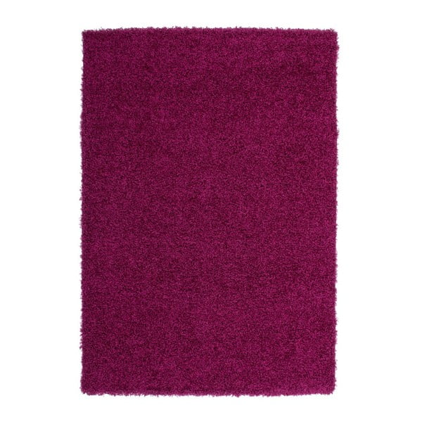 Koberec Perky 278 Purple, 230x160 cm