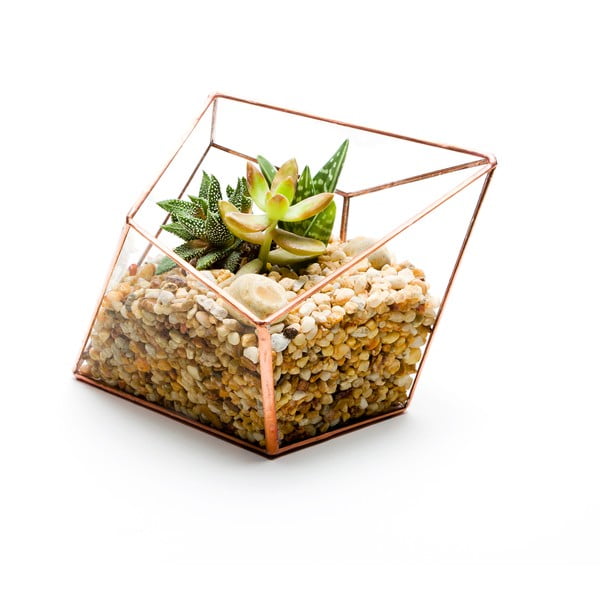 Terárium s rastlinami Diamond Terrarium, svetlý rám
