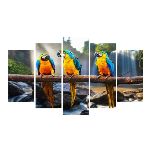 Viacdielny obraz na plátne Animal Parrots