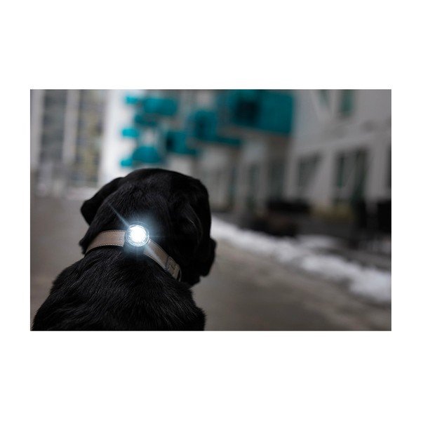 LED svetlo na obojok Dark – Orbiloc-image-4