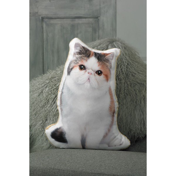 Vankúšik s potlačou Exotickej krátkosrstej mačky Adorable Cushions-image-1