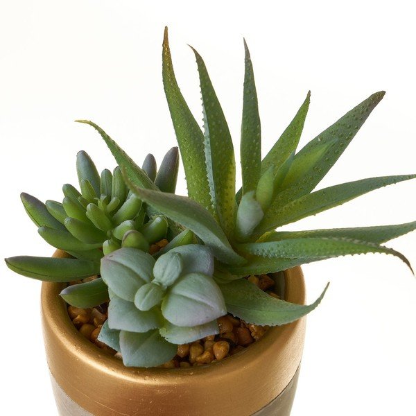 Umelé rastliny v súprave 4 ks (výška  17 cm) Cactus – Casa Selección-image-3