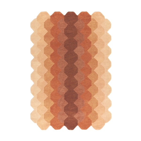 V tehlovej farbe vlnený koberec 200x290 cm Hive – Asiatic Carpets