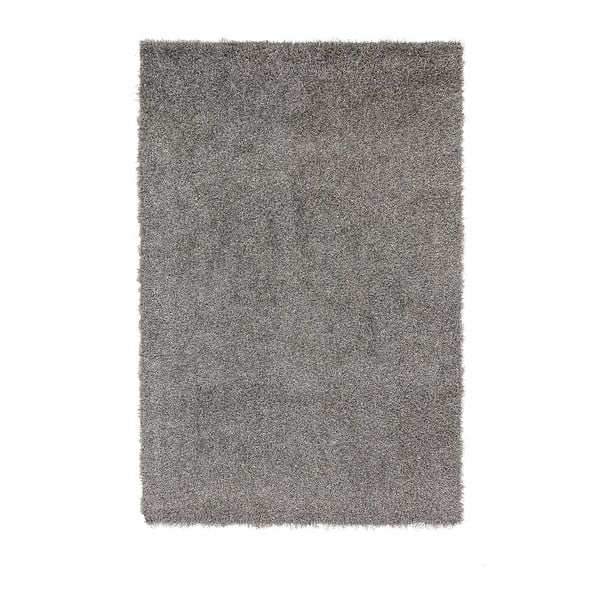 Sivý koberec Denzzo Forlan, 200 x 300 cm