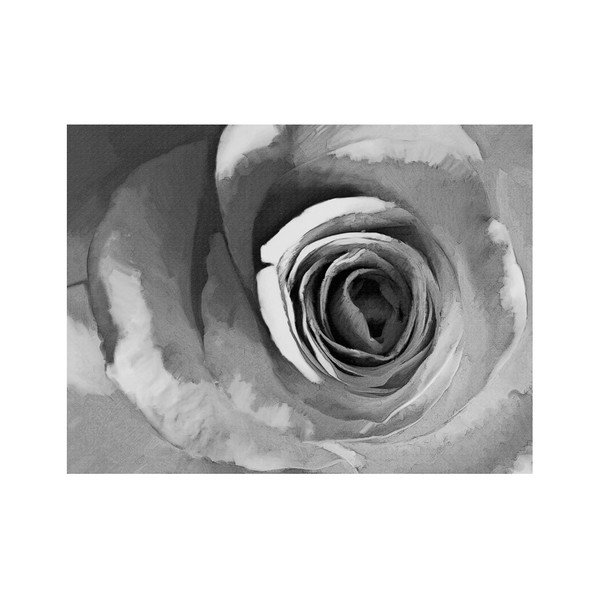 Veľkoformátová tapeta Artgeist Paper Rose, 400 x 309 cm