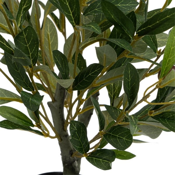 Umelý olivovník - Casa Selección-image-1