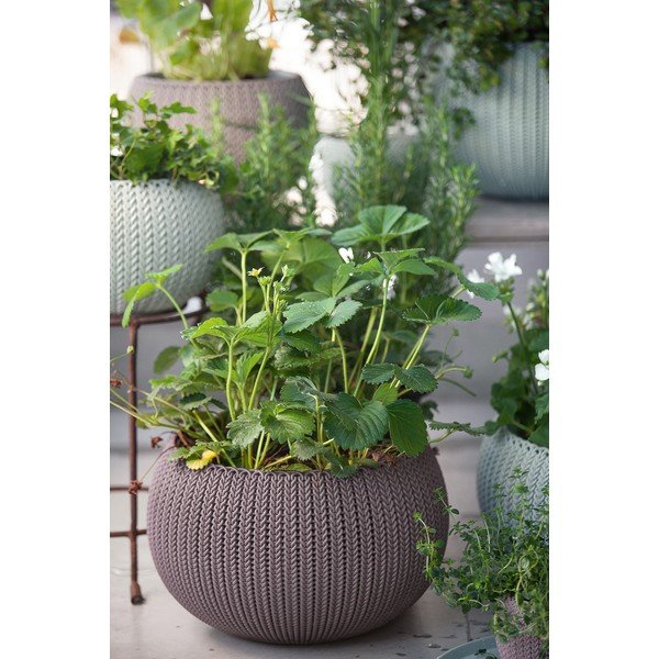Plastový závesný a nástenný  kvetináč ø 36 cm Cozy – Keter-image-1