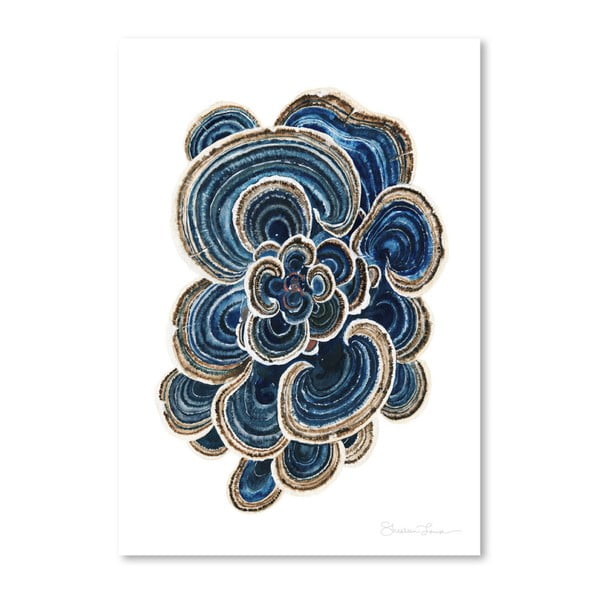 Plagát Blue Trametes Mushroom by Shealeen Louise, 30 x 42 cm
