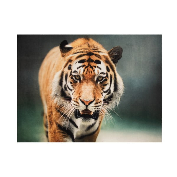 Koberec Hanse Home Tiger, 190 × 140 cm